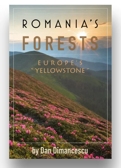 Romania's forrests